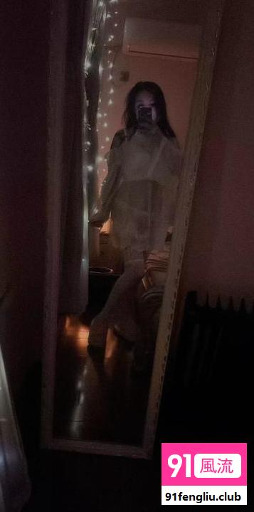 栖霞中项小野猫